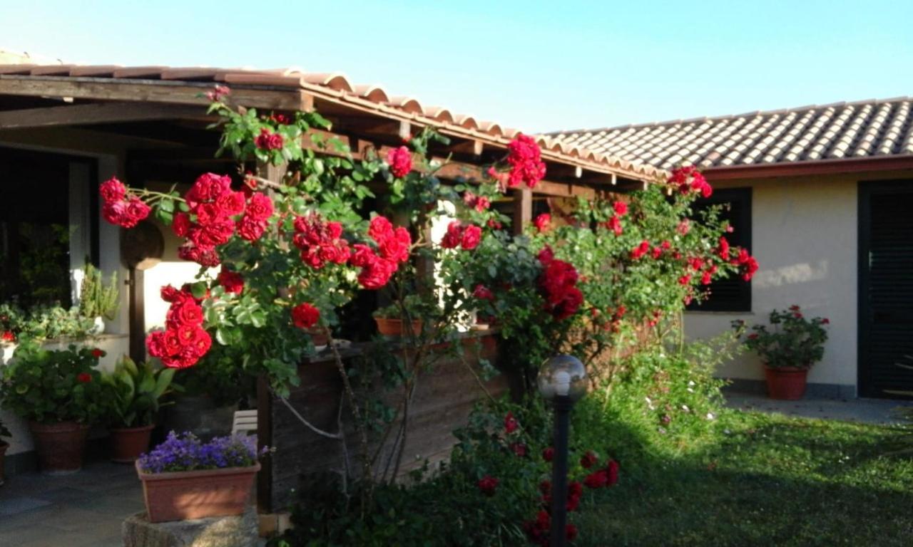 B&B Is Camminantis Nurallào Exterior foto